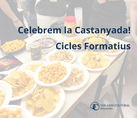 Castanyada Cicles Formatius